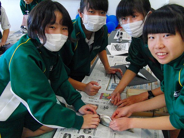 生物「魚類」の解剖