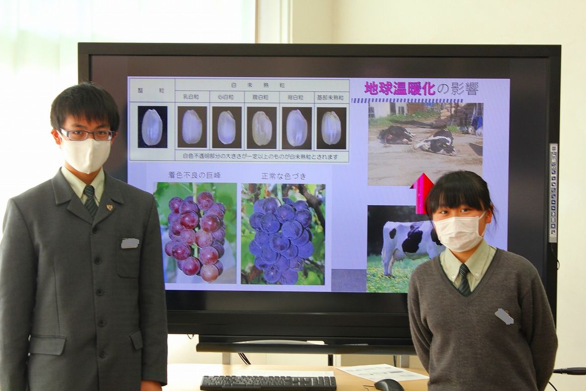 「ＳＤＧｓ探求学習発表会」を実施しました。