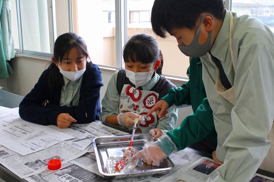 「解剖実験」を実施しました。【１学年】