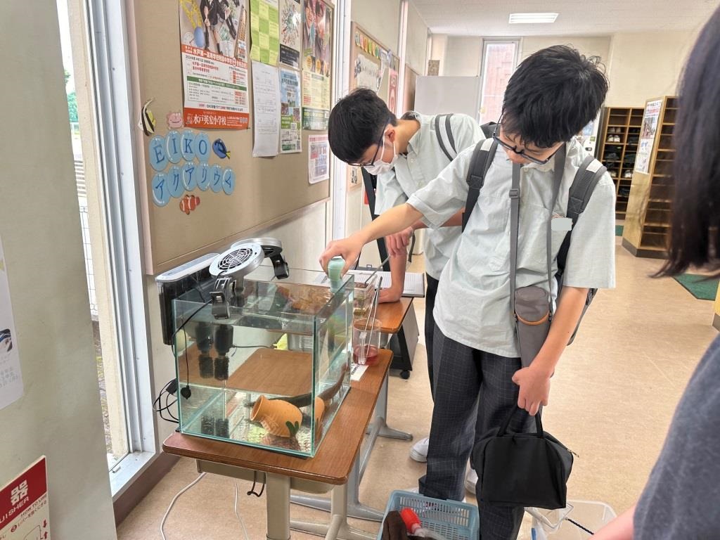 癒やしのEIKOアクアリウム！　【校内環境】