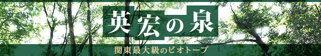 水戸英宏中学校科学部 英宏の泉 関東最大級のビオトープ