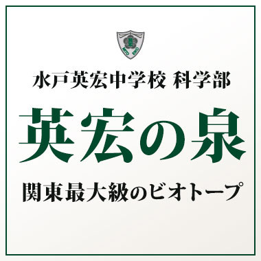 水戸英宏中学校科学部 英宏の泉 関東最大級のビオトープ